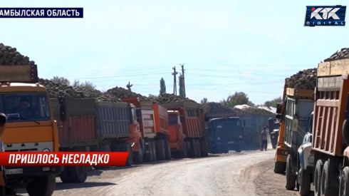 Фермеры Жамбылской области стоят в очередях, чтобы сдать урожай сахарной свеклы